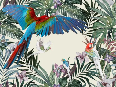 Parrots